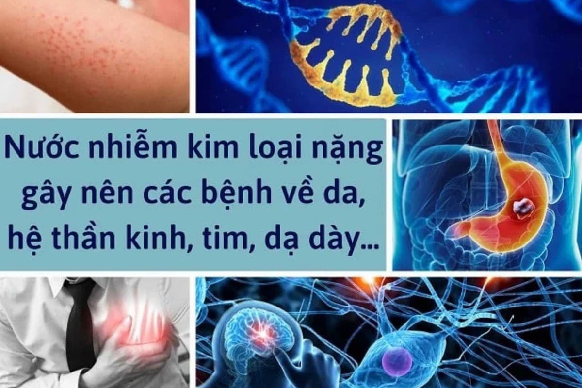 Tác động tiêu cực của nước nhiễm kim loại nặng đến sức khỏe và làn da