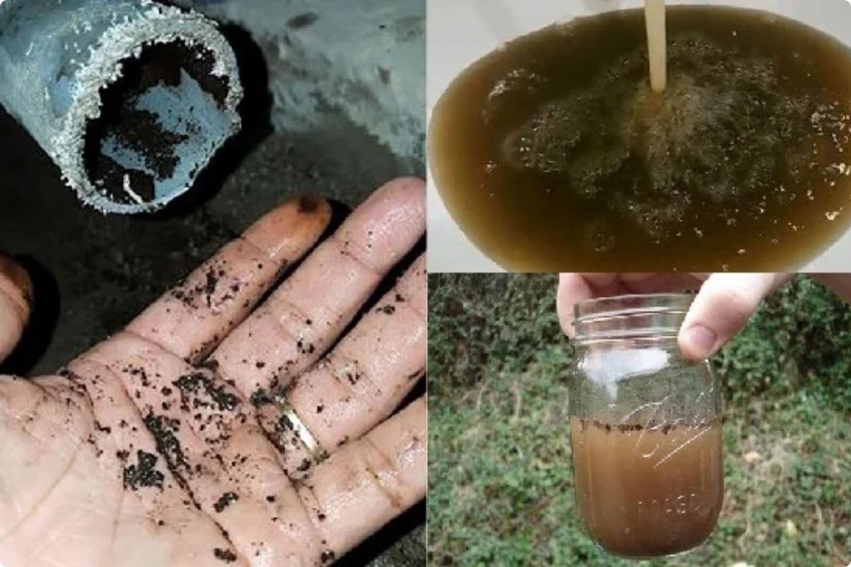 Các phương pháp xử lý nước nhiễm khuẩn