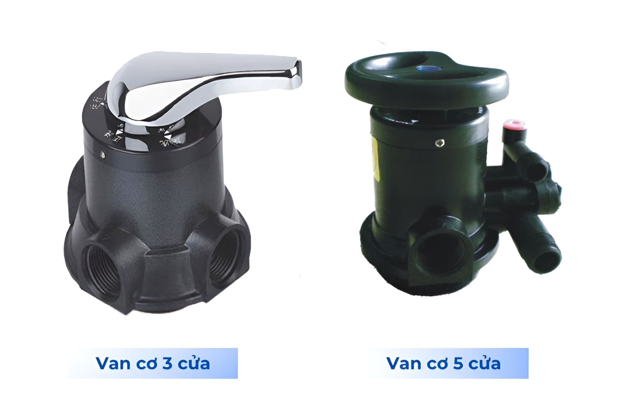 Van tay là gì?
