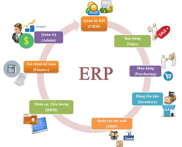 Thế Giới Lọc Tổng tin tưởng vào hệ thống ERP để vận hành?
