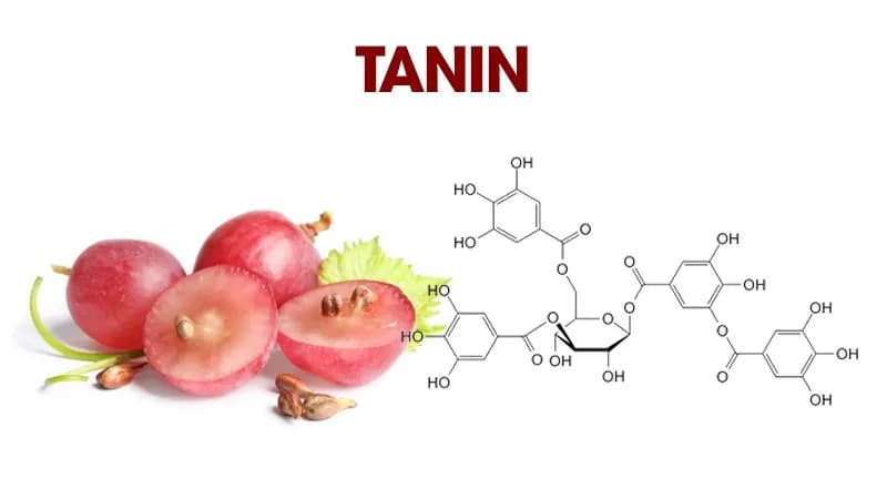 Nguồn gốc của Tanin trong nước