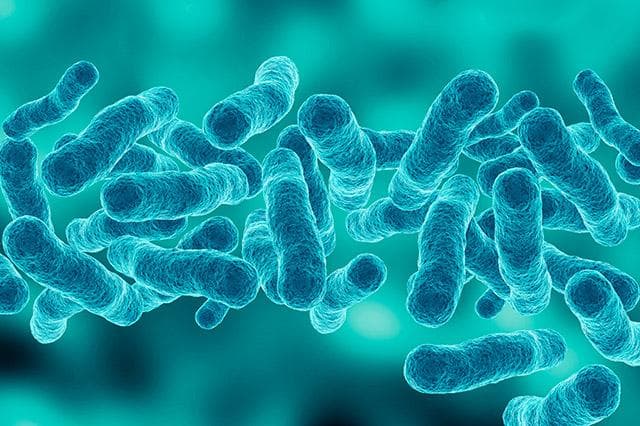 Legionella là một vi khuẩn gây bệnh sống trong nguồn nước bị ô nhiễm