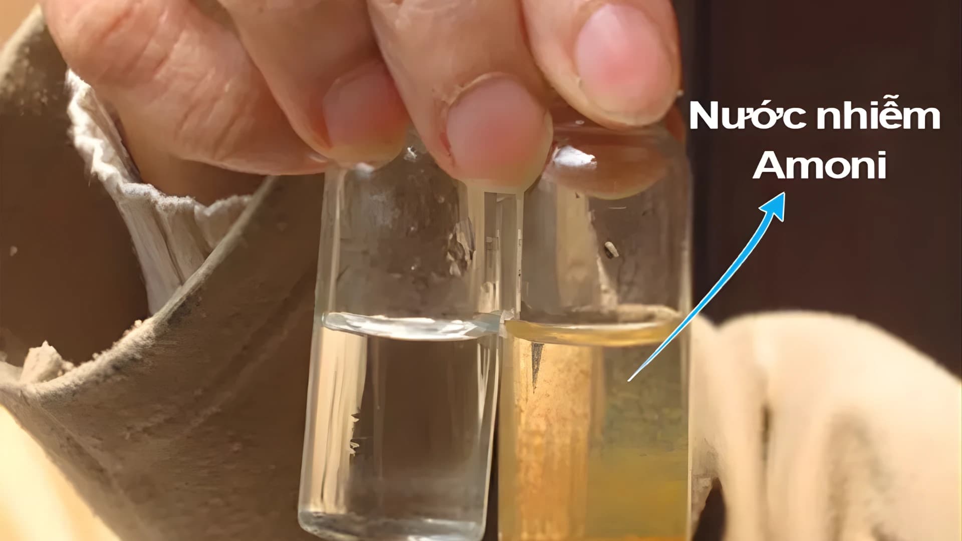 Amoniac hình thành tự nhiên thông qua quá trình phân hủy sinh học từ xác động thực vật, chất thải hữu cơ, phân, nước tiểu và các hợp chất chứa nitơ khác