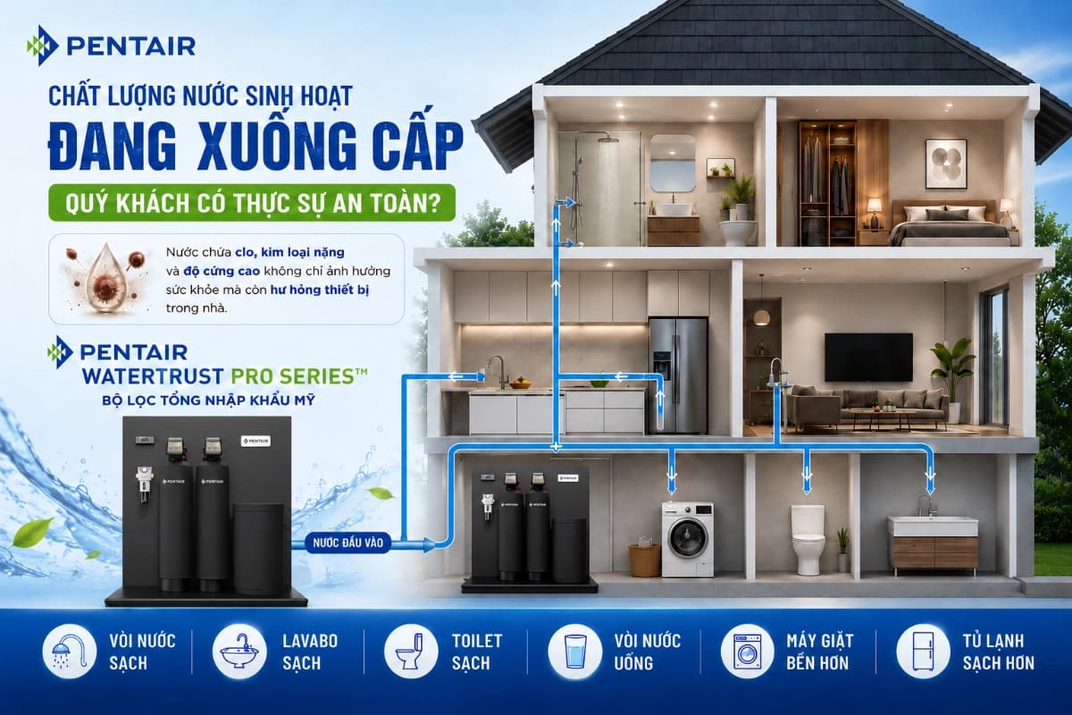 Sơ đồ lắp đặt của hệ thống lọc tổng Pentair WaterTrust Pro Series