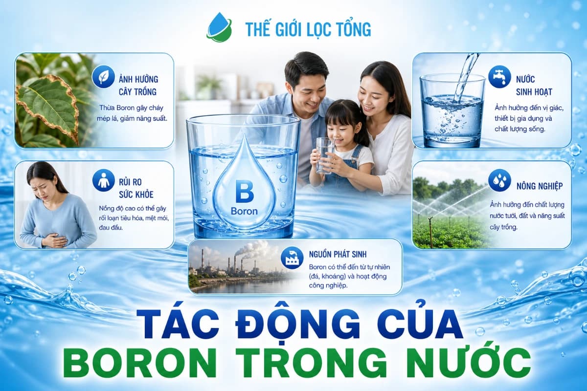 Tác động của Boron trong nước