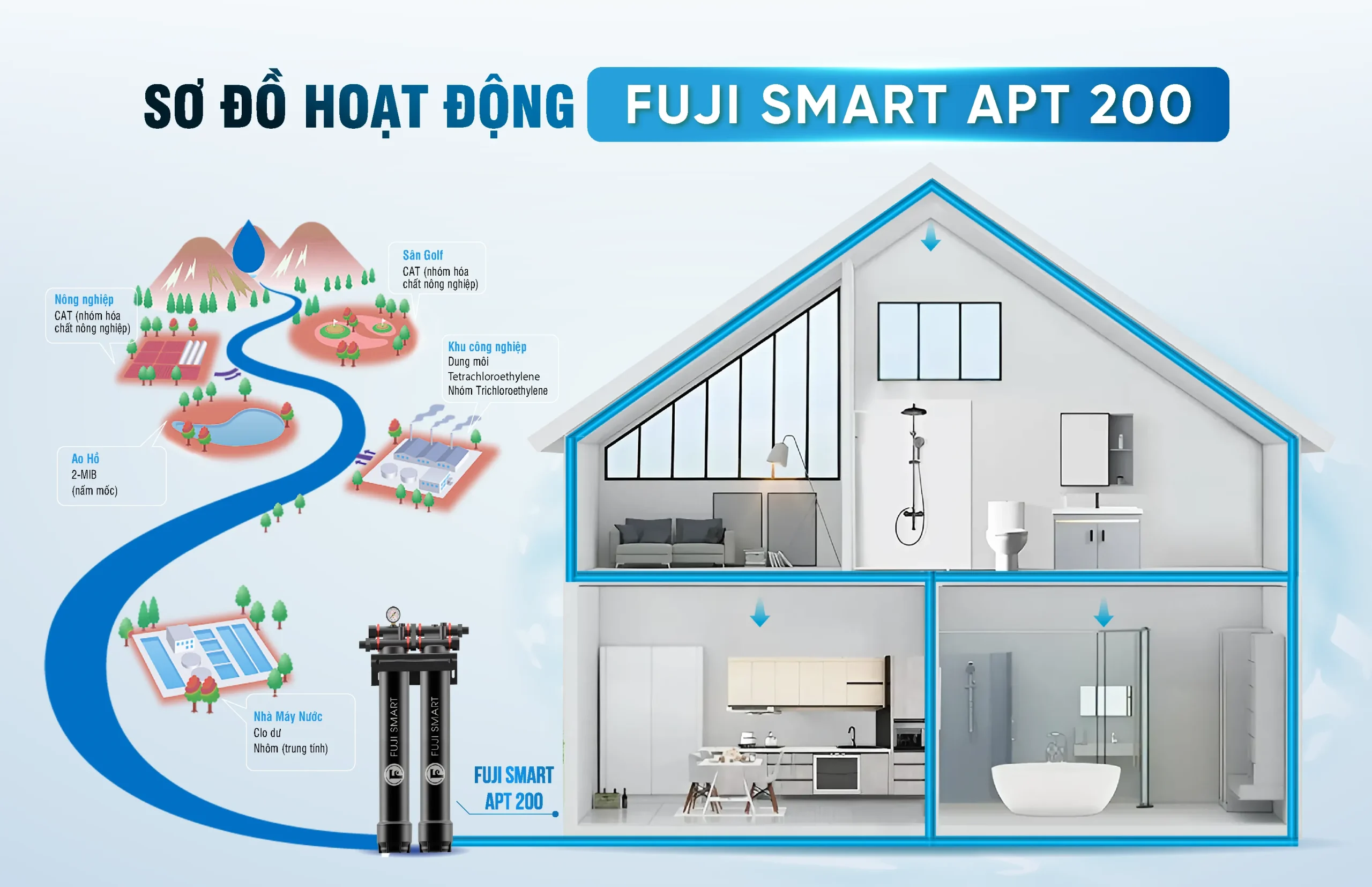 COBEL 6 Inforgraphic Fuji Smart APT 200. 19 scaled