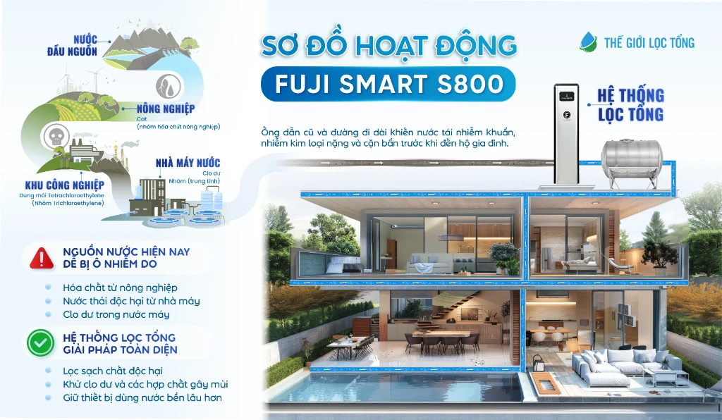 SOF 2025 01157 so do hoat dong S80022222 01