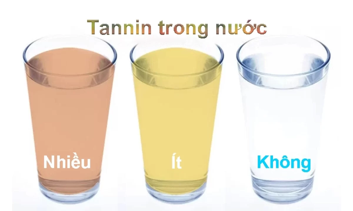Tanin trong nước có tác hại như thế nào? Cách xử lý hiệu quả tannins trong nuoc 1200x720 1