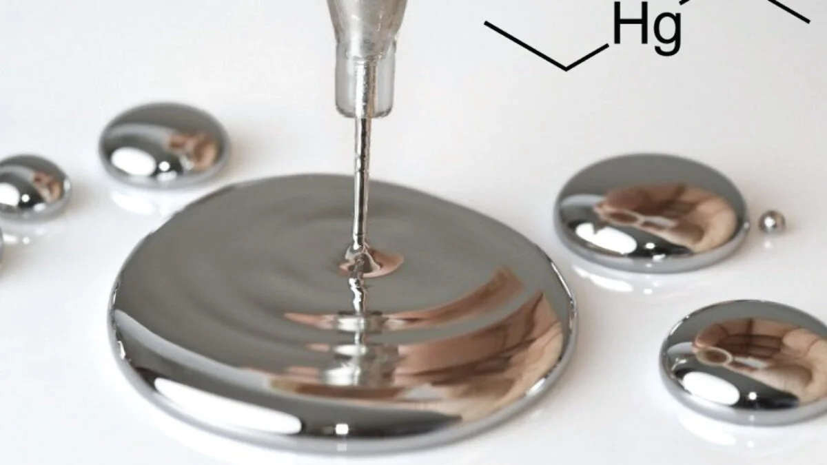 Thuy-ngan-trong-nguon-nuoc-sinh-hoat-Nguyen-nhan-tac-hai-va-cach-xu-ly