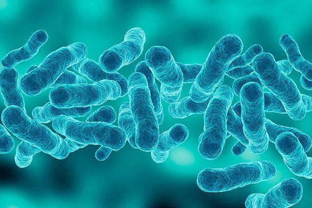 Legionella trong nước - Nguy cơ tiềm ẩn và giải pháp cho nguồn nước tại việt nam Legionella là một vi khuẩn gây bệnh sống trong nguồn nước bị ô nhiễm