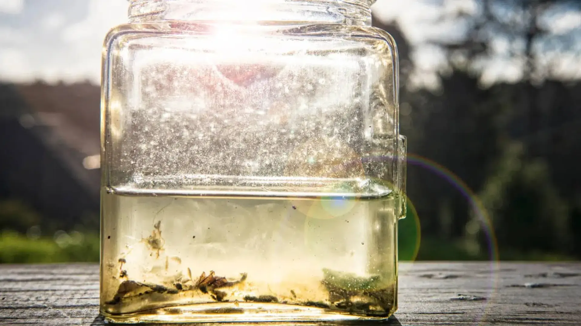 Nitrat trong nước - Mối nguy hiểm tiềm ẩn và giải pháp xử lý hiệu quả Nitrat tồn tại tự nhiên trong môi trường, chủ yếu hình thành từ quá trình phân hủy protein, phân gia súc, nước tiểu và các hợp chất chứa nitơ khác