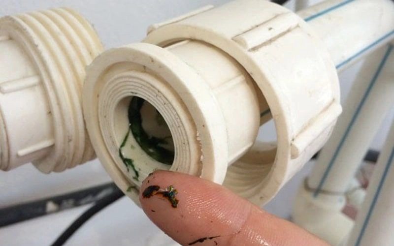 Digi Pipe Protect – Khử trùng toàn diện đường ống nước sinh hoạt tac-hai-khi-duong-ong-khong-duoc-khu-trung-dinh-ky